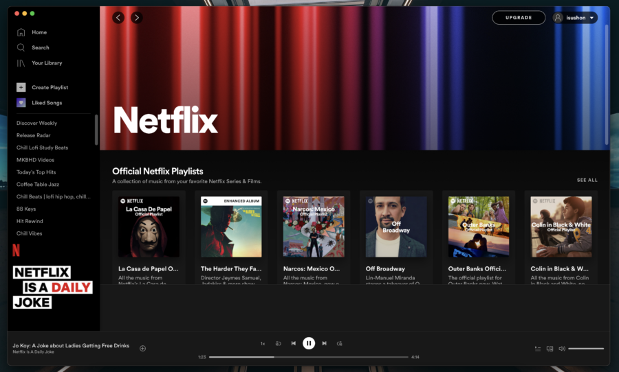 Netflix та Spotify разом запустили The Netflix Hub