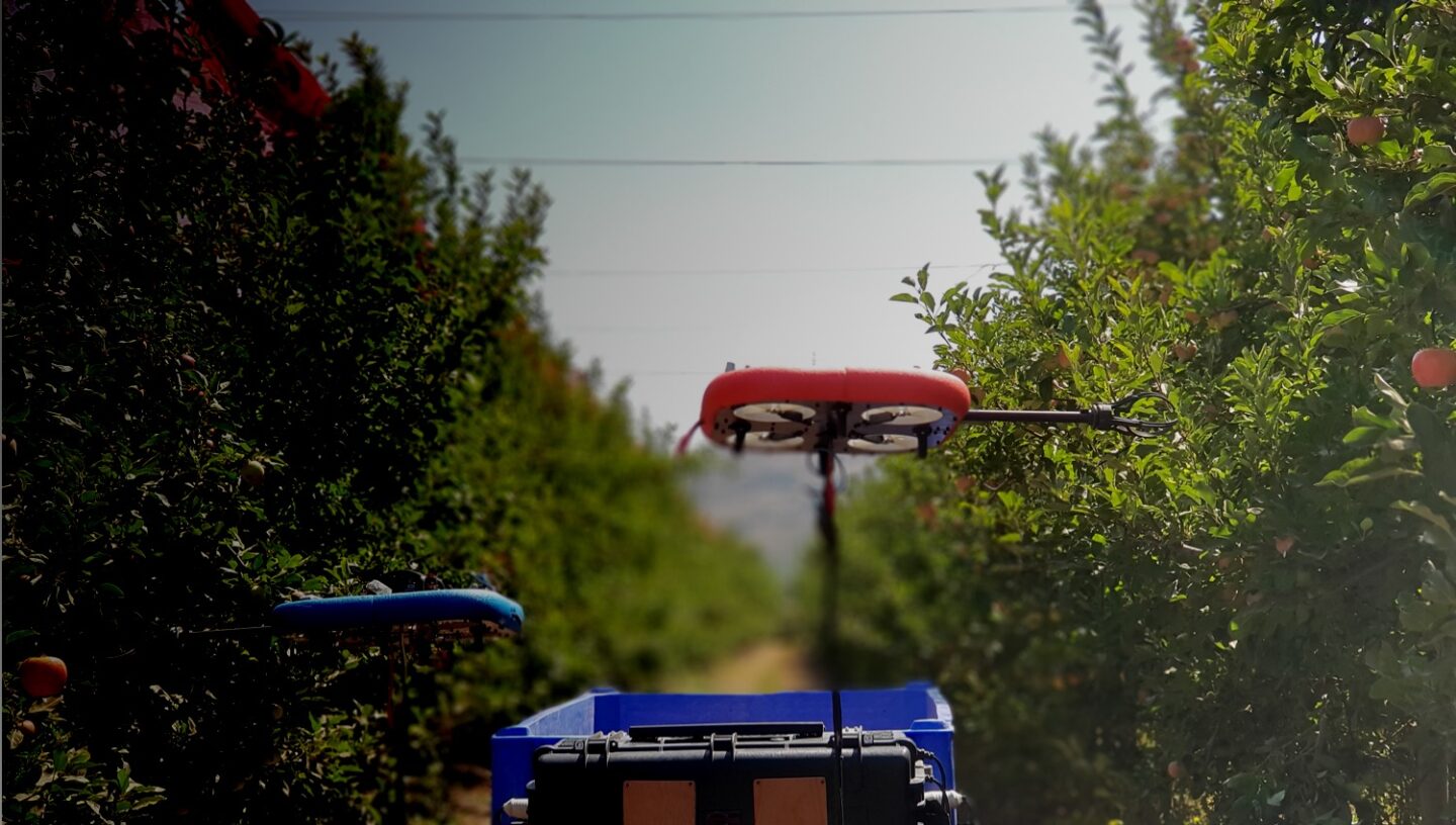Дрони ізраїльського стартапу Tevel самостійно оцінюють стиглість яблук й збирають врожай