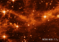 NASA has released a Webb Telescope image of the Large Magellanic Cloud