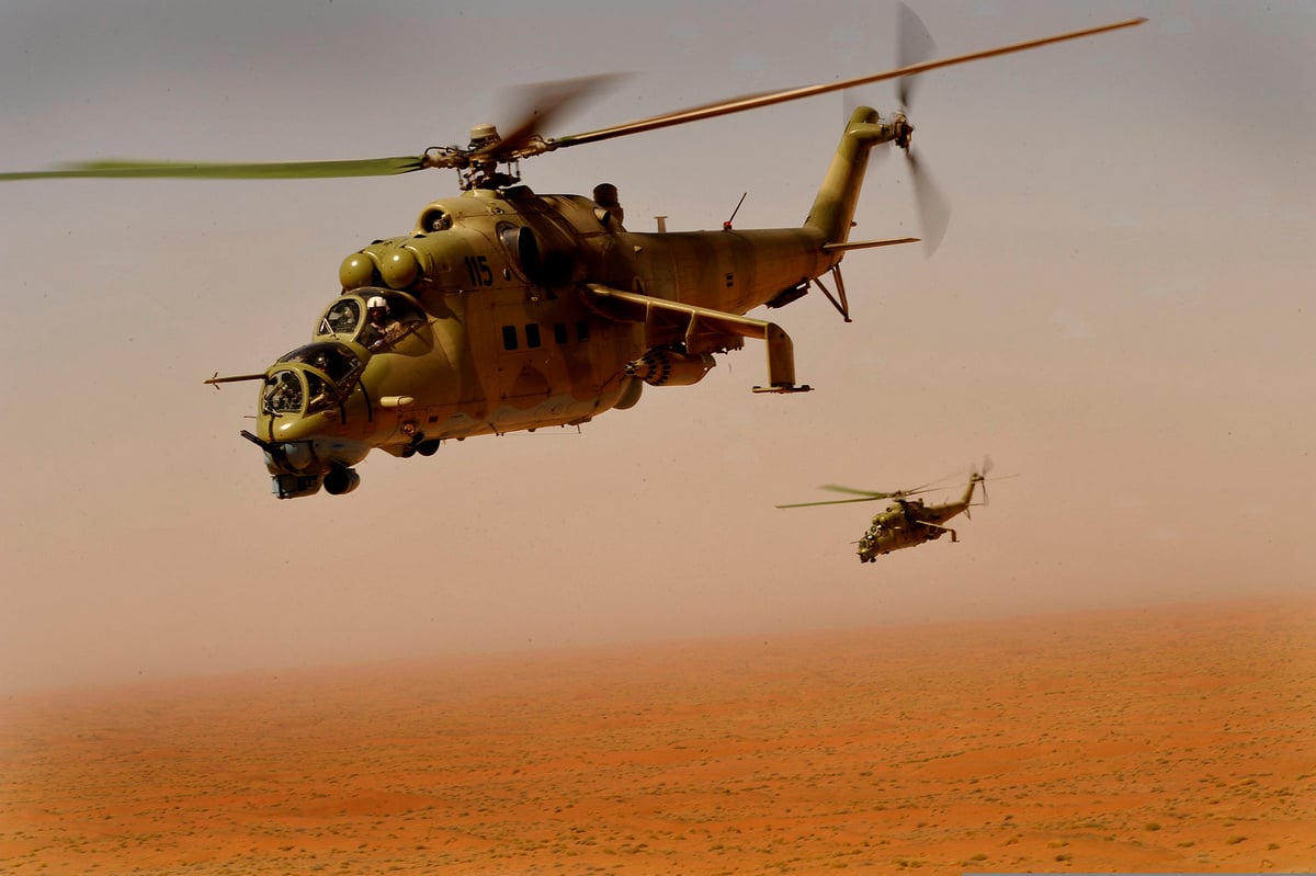 The Czech Republic provided the Armed Forces with a squadron of Mi-24 attack helicopters