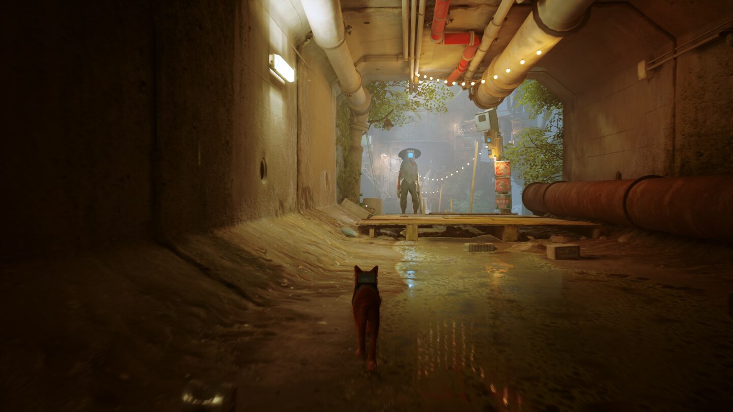Stray: a cat who walks by himself
