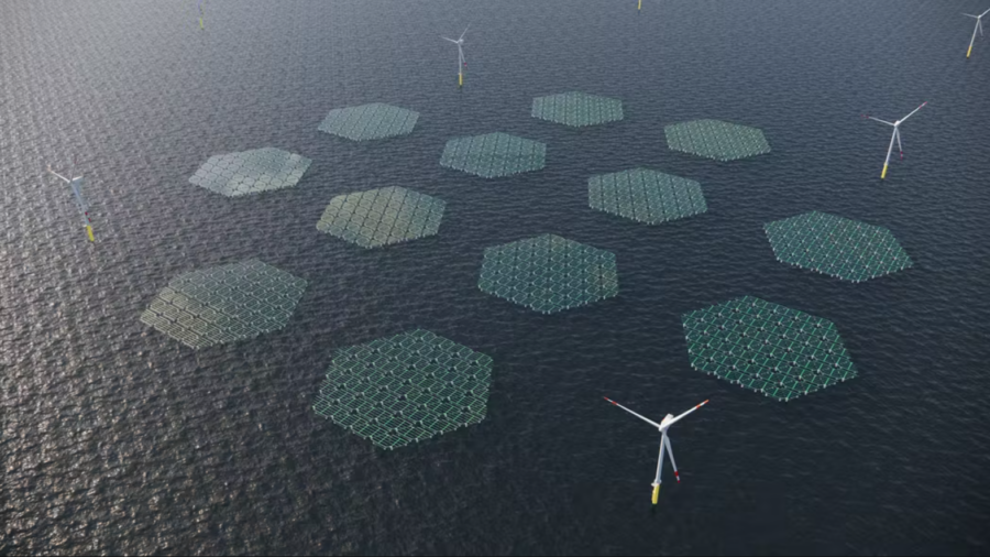 Solar panels on water: a new green energy project is being developed in the North Sea
