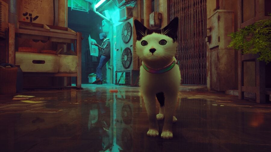 The modder will add your cat to Stray. But not for free