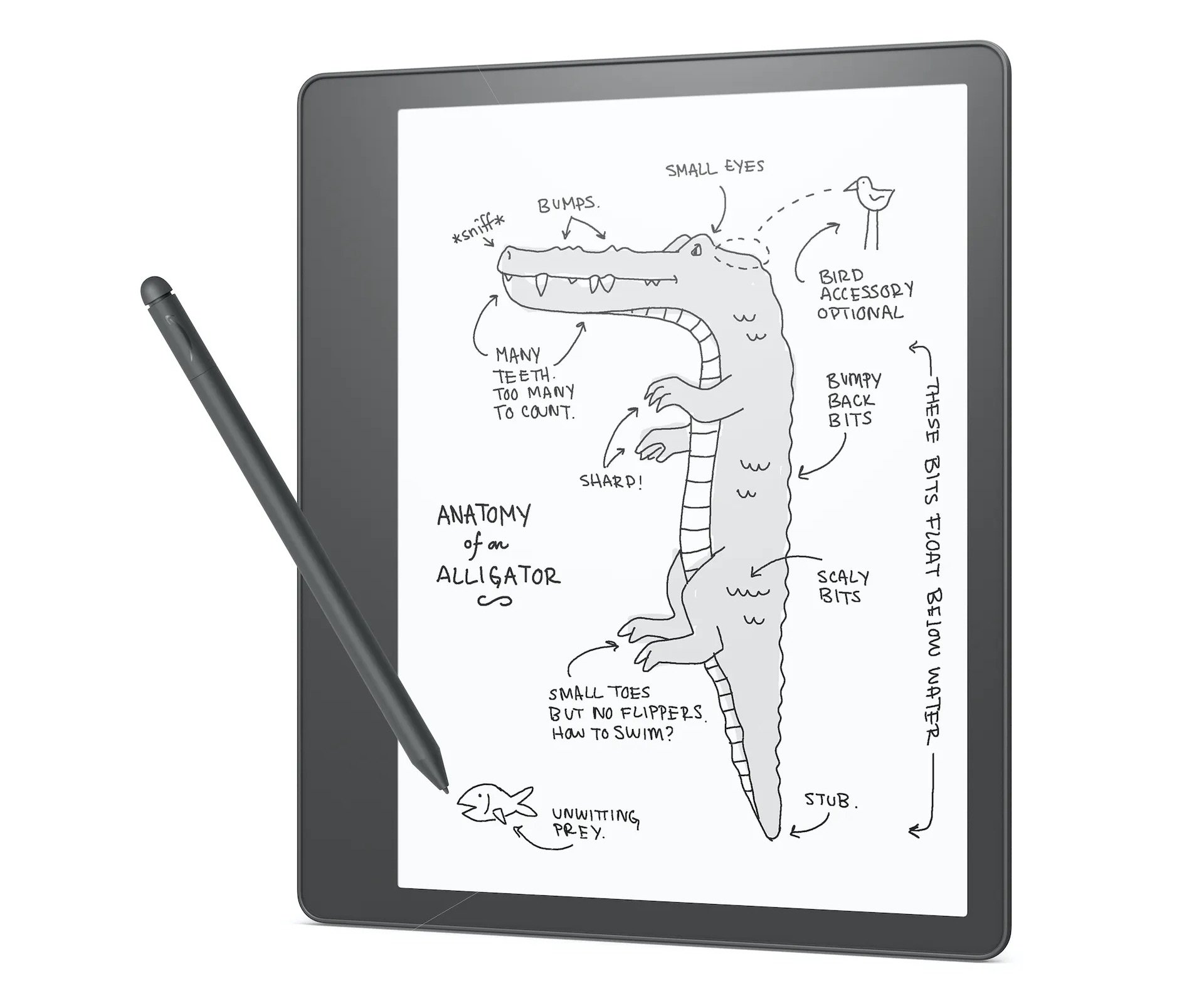 Amazon Kindle Scribe – перший Kindle, на якому можна писати та малювати