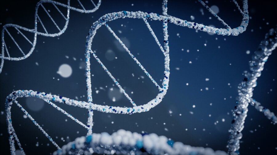 Клієнти Ancestry можуть дізнатися, звідки походять їхні ДНК