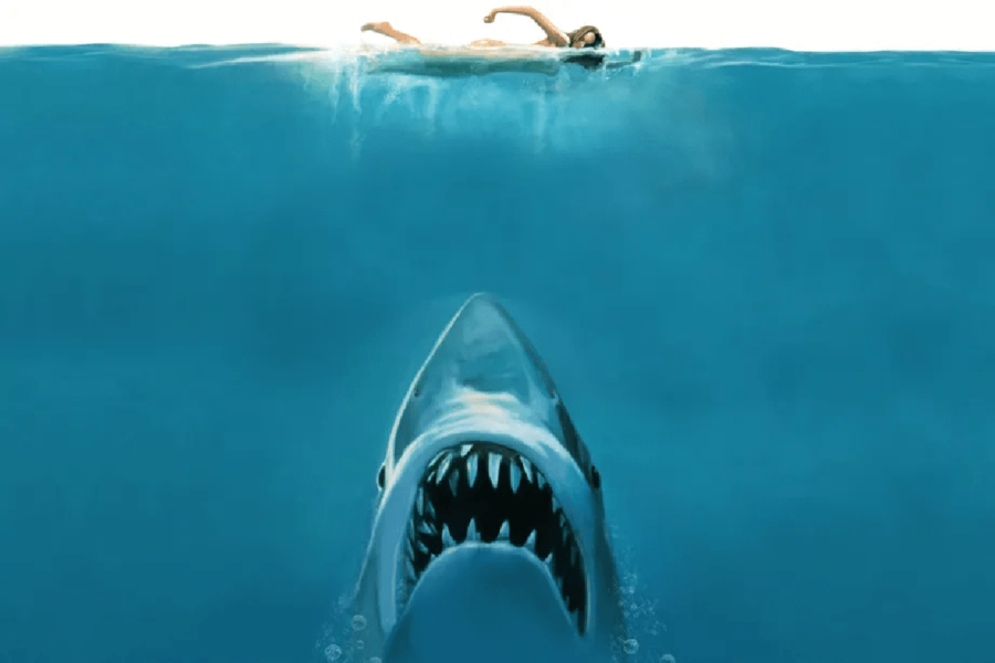 The movie Jaws, which was released 47 years ago, became a box office hit in the USA