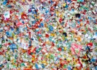 Scientists have found that plastic might lead to obesity