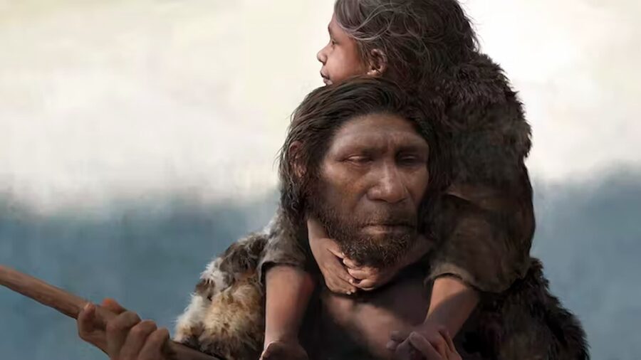 A new DNA study provides a glimpse into the family life of Neanderthals