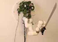 Помста вазонів: Художник винайшов спосіб самозахисту для кімнатних рослин