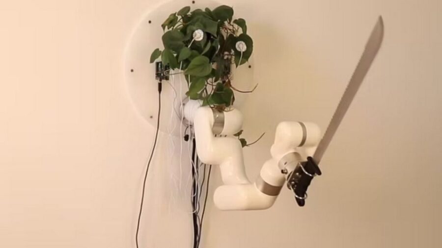 Помста вазонів: Художник винайшов спосіб самозахисту для кімнатних рослин