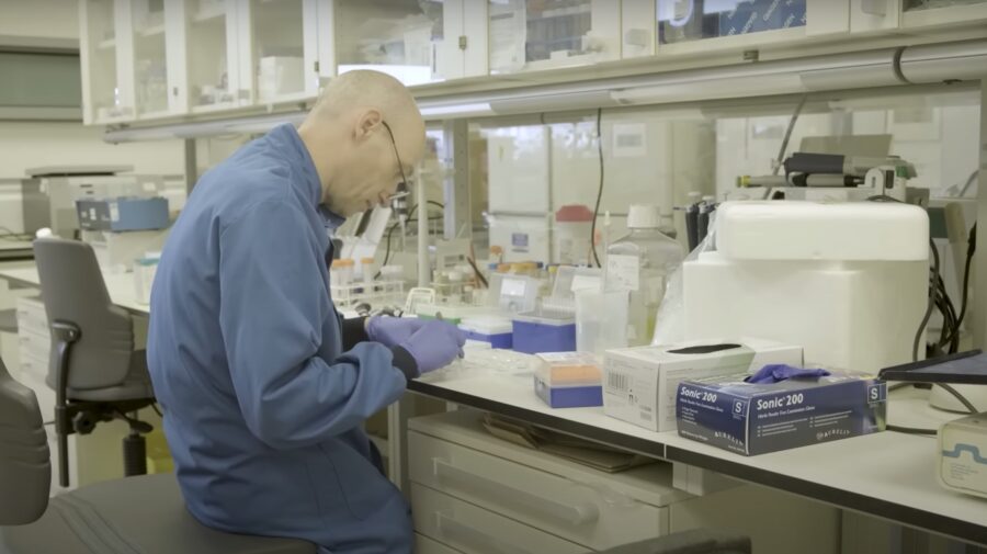 Вчені випробовують переливання лабораторно вирощених клітин крові