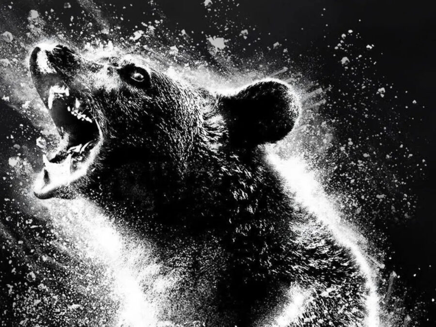 Український трейлер чорної комедії «Ведмідь під кайфом» / Cocaine Bear