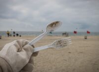 Пластик дозволяє прибережним тваринам мандрувати морем, – дослідження