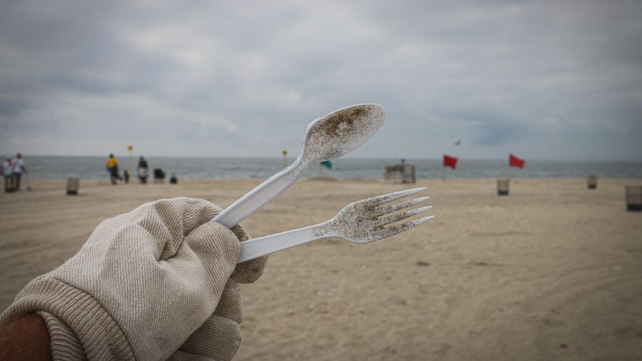 Plastic allows coastal animals to travel by sea, study finds