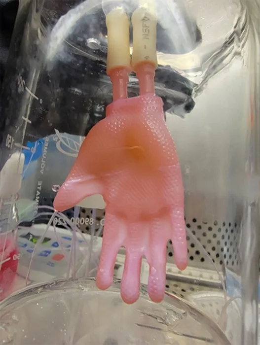 Исследователи работают над бесшовными 3D-трансплантатами кожи для пациентов с ожогами