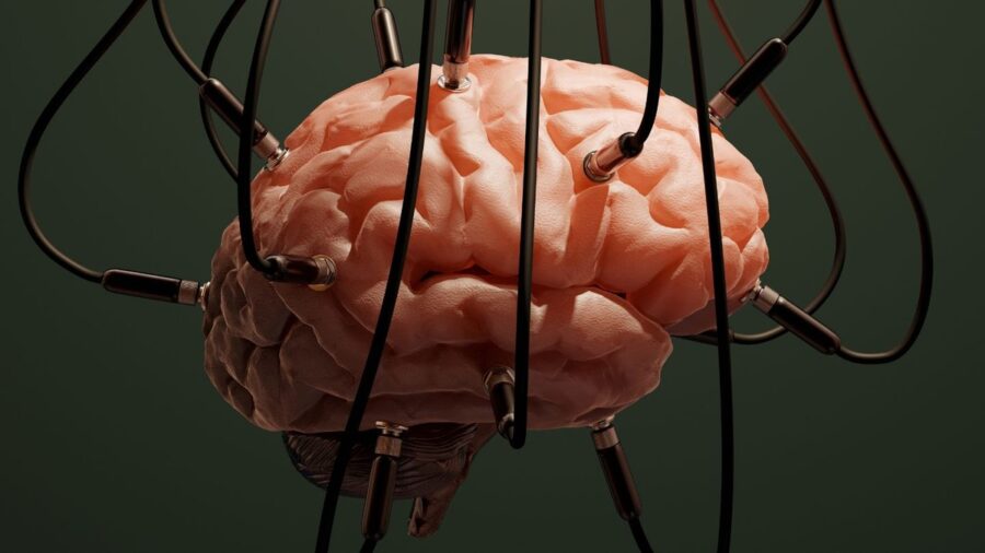 Вчені хочуть розвивати ШІ, використовуючи клітини людського мозку