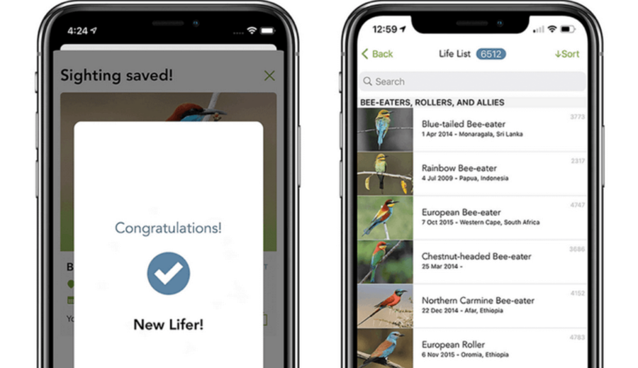 The Merlin Bird ID app has learned to recognize more than 6,000 species of birds by their photos and calls
