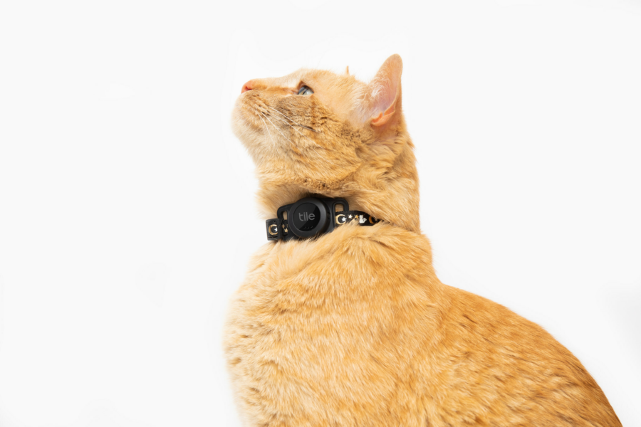 A new tracker from Tile will help you find your cat
