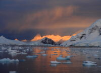 Антарктида втратила кількість морського льоду розміром із Аргентину, вчені шукають причину