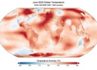 NASA recognized June 2023 as the hottest in the entire history of observations