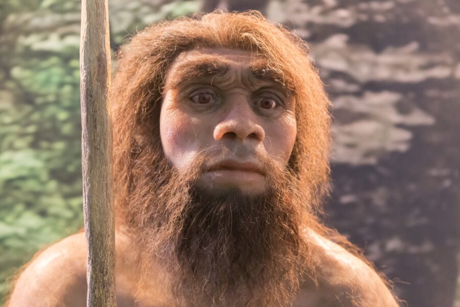 Fragments of Neanderthal and Denisovan proteins could help create new antibiotics from extinct species thanks to artificial intelligence