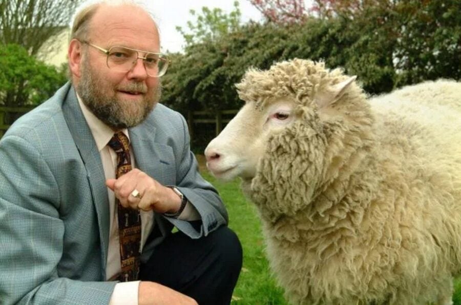 Sir Ian Wilmut, who cloned Dolly the sheep in 1996, dies