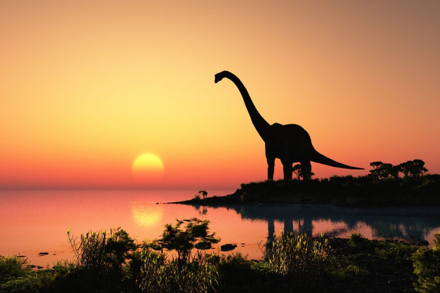Why dinosaurs went extinct on Earth 66 million years ago revealed