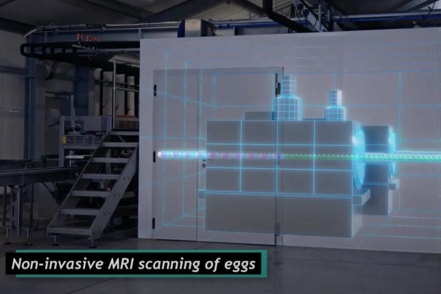 Німецький стартап Orbem використовує ШІ для сканування яєць, на черзі – люди