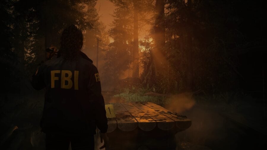 Alan Wake 2