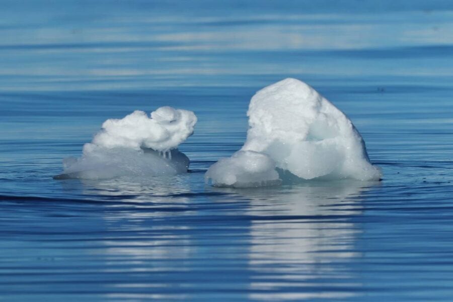 Українські вчені НАНЦ стали співавторками статті про температурні рекорди в Антарктиці