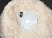 Apple asks users to stop putting wet iPhones in rice