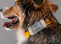 Yaroslav Azhniuk has announced the launch of Petcube Tracker. What can the tracker do and where does it work?
