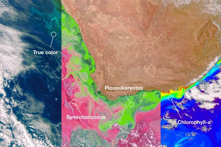 NASA made public scientific data from the PACE satellite on the state of the world’s oceans and air quality