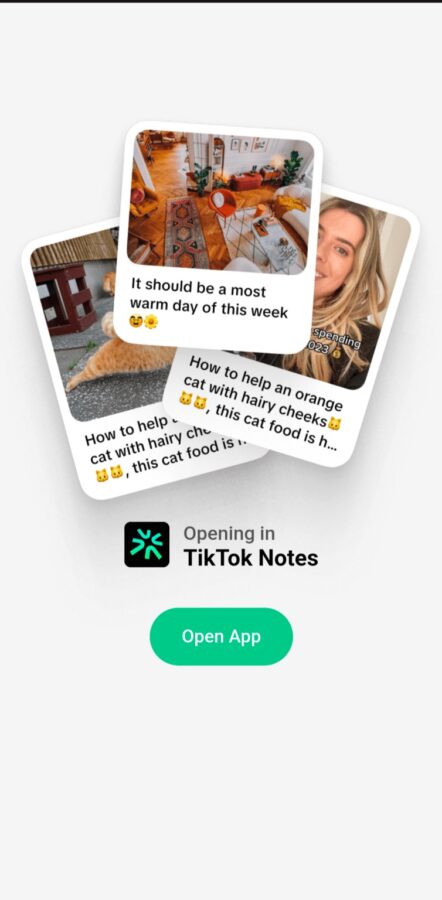 TikTok is preparing to launch a photo sharing service to compete with Instagram