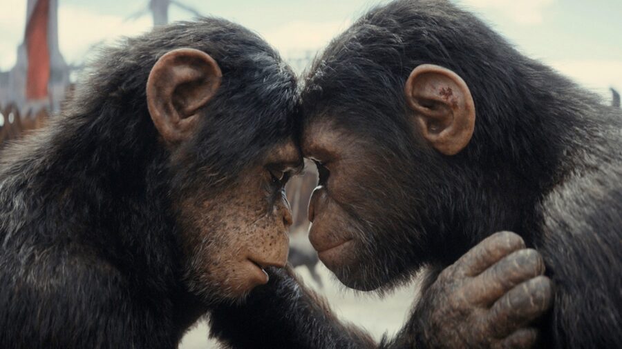 Review of the movie Kingdom of the Planet of the Apes